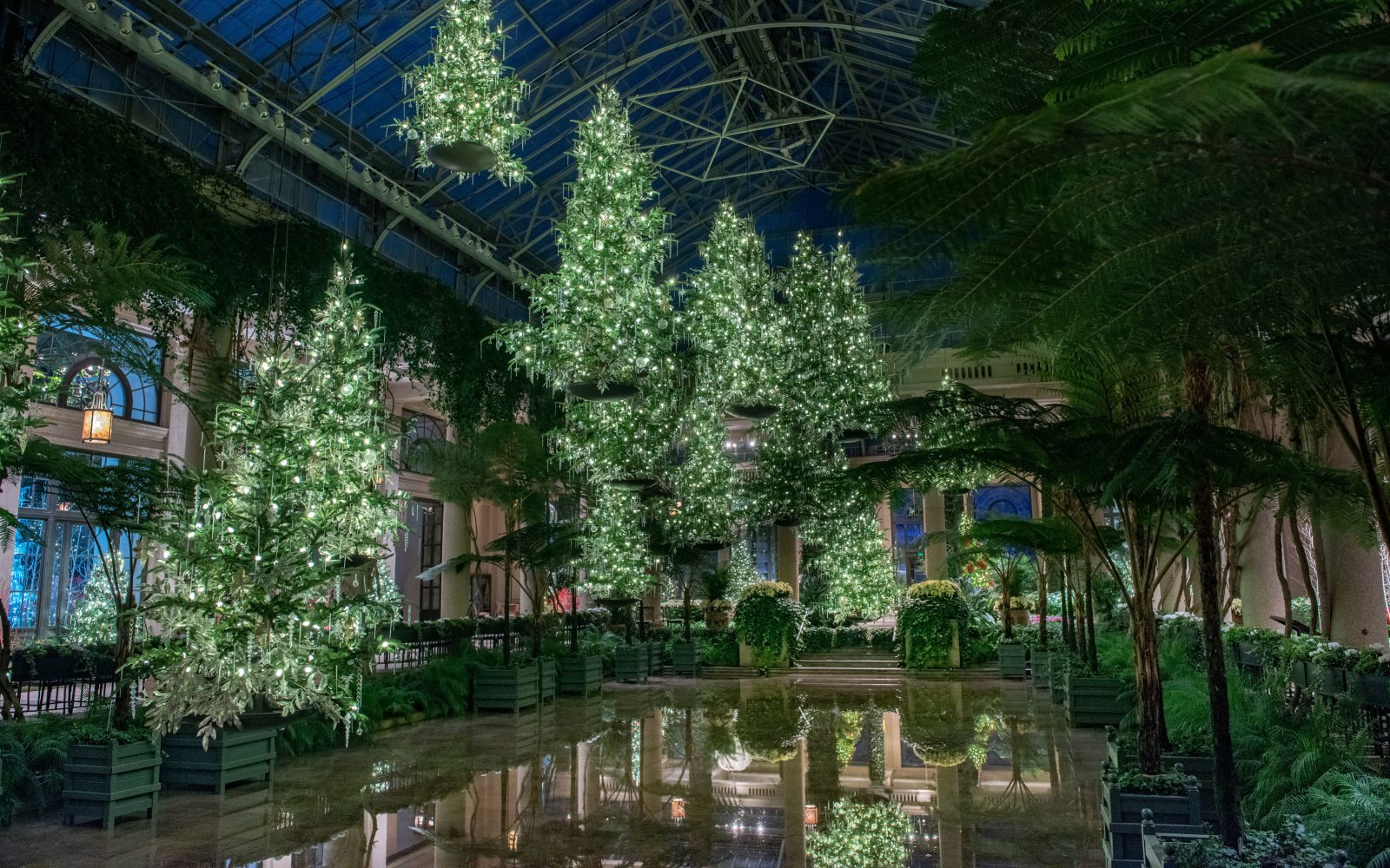 The Wildlife Tree … Reimagined Longwood Gardens